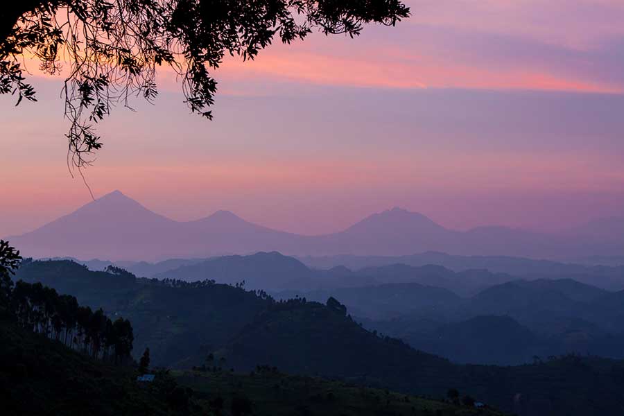 bwindi-at-dawn